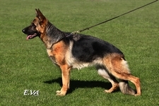 foto38