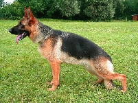 foto33