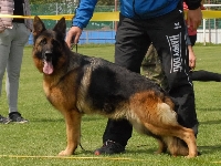 foto12
