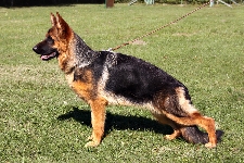 foto8