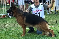 foto7