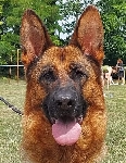 foto4