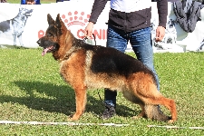 foto2