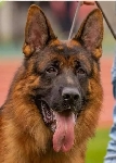 foto0