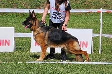 foto0